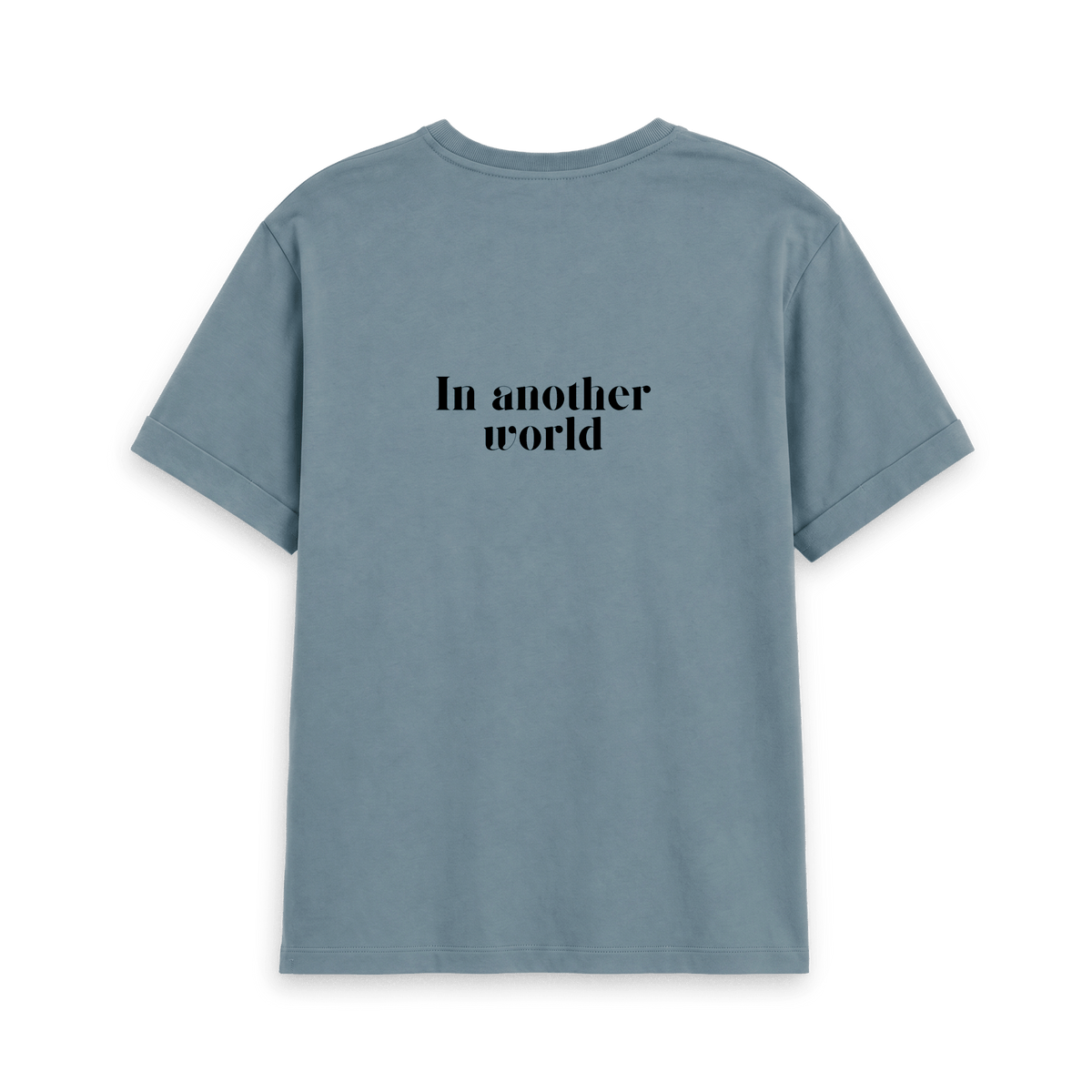Stone Blue Printed T-shirt Back