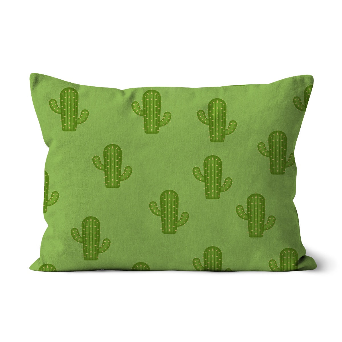 Cactus Cushion