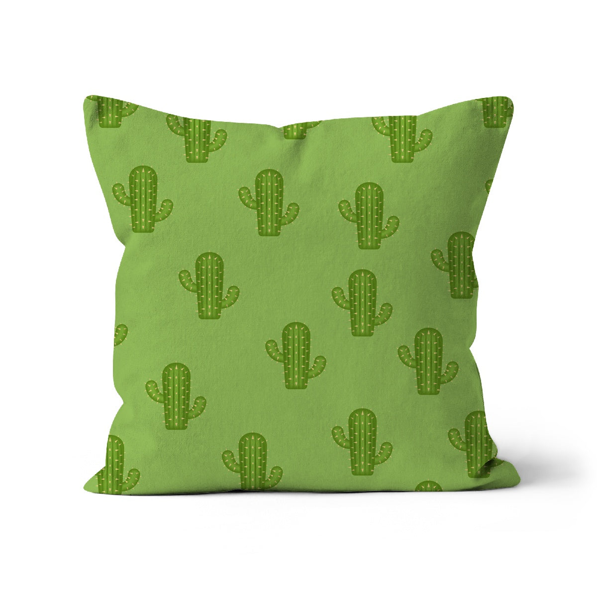 Cactus Cushion